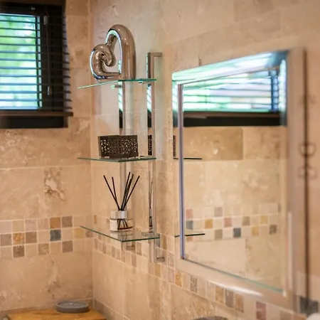 Wildewood 罗宾胡兹贝