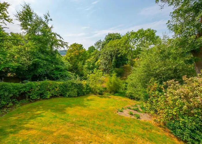 Wildewood Vakantiehuis