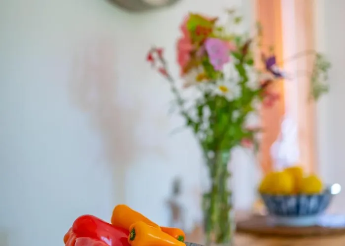 Wildewood Robin Hood's Bay